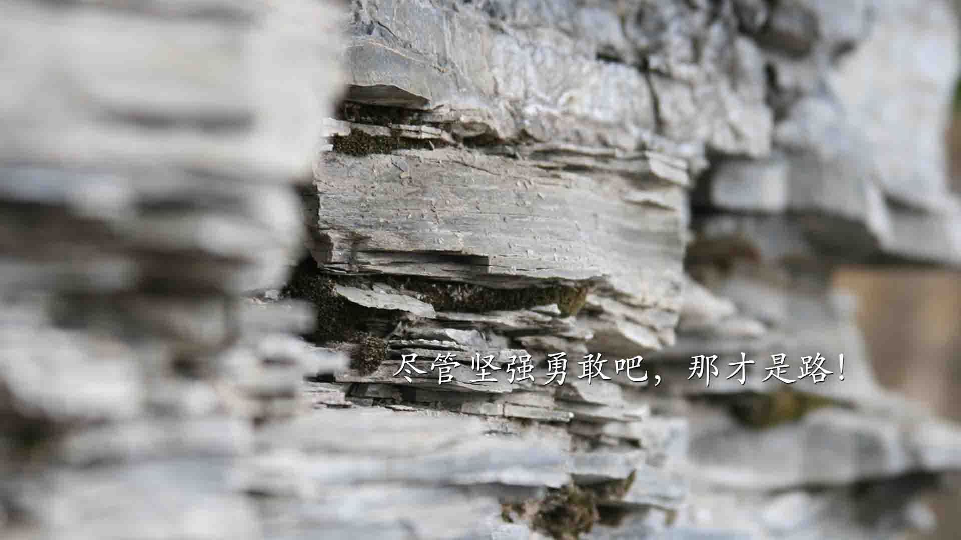 _足球飞行模拟：未来足球场的新探索_，足球模拟比赛