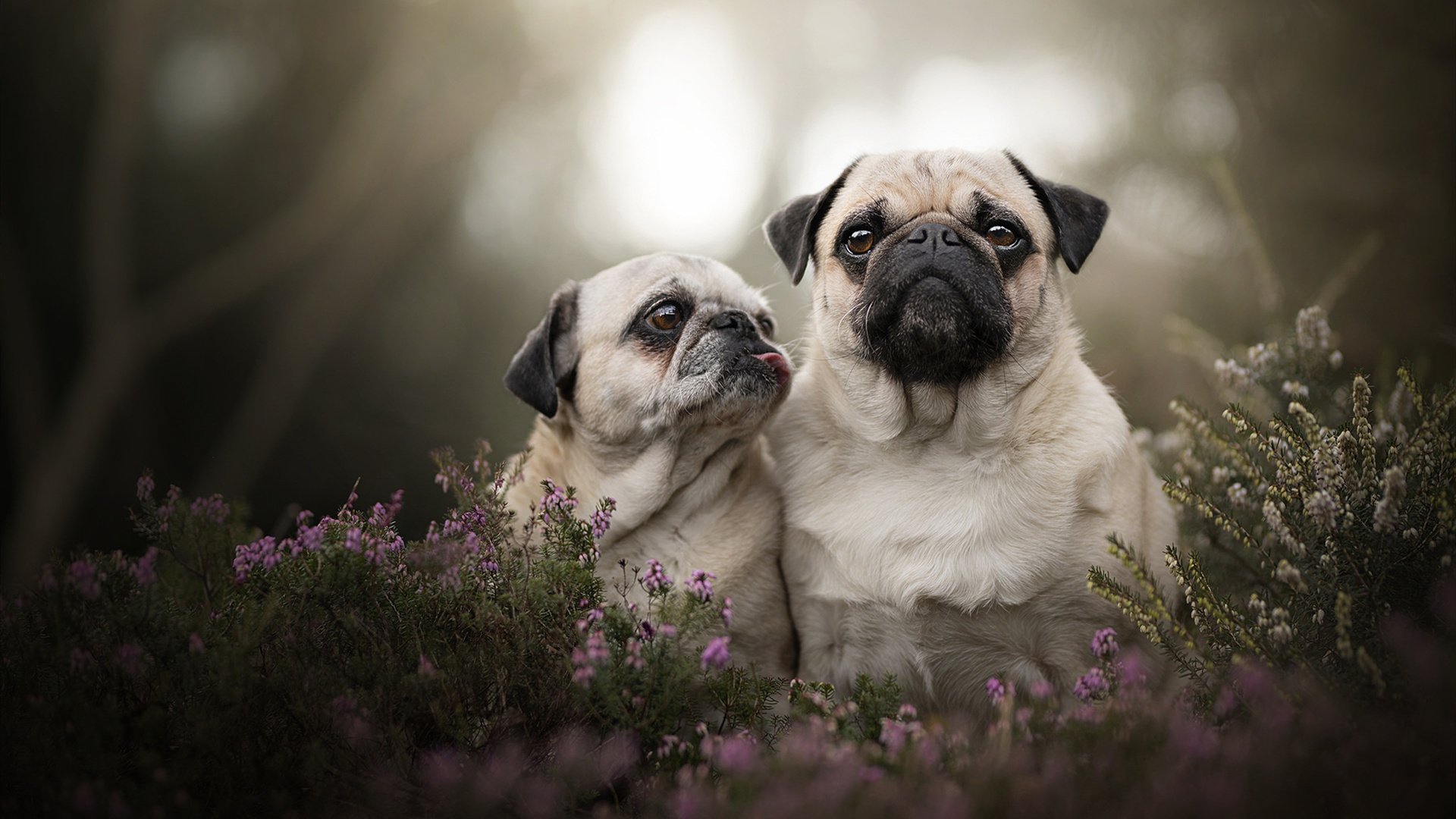 开云官网APP下载-全民健身：全民参与，打造健康生活新方式，全民健身,下一句是什么