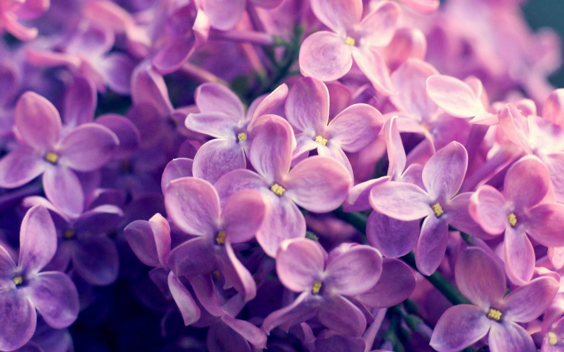 墨西哥男足在巴黎奥运会上展现出强大的进攻火力，墨西哥男足奥运会成绩