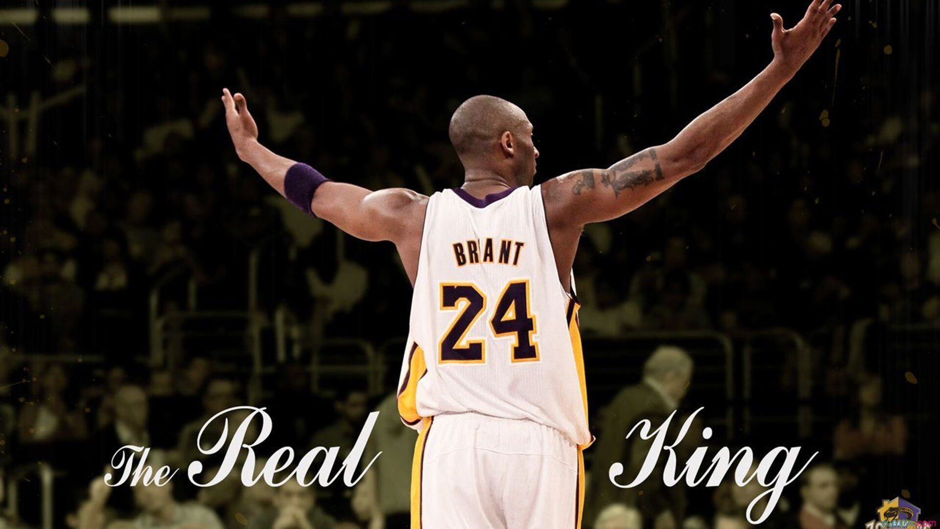 开云体育在线入口-火箭官方宣布续约主力后卫确保核心不变，火箭新签约